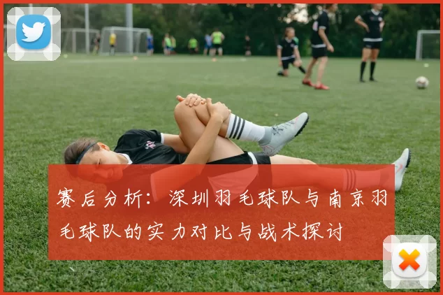 赛后分析：深圳羽毛球队与南京羽毛球队的实力对比与战术探讨