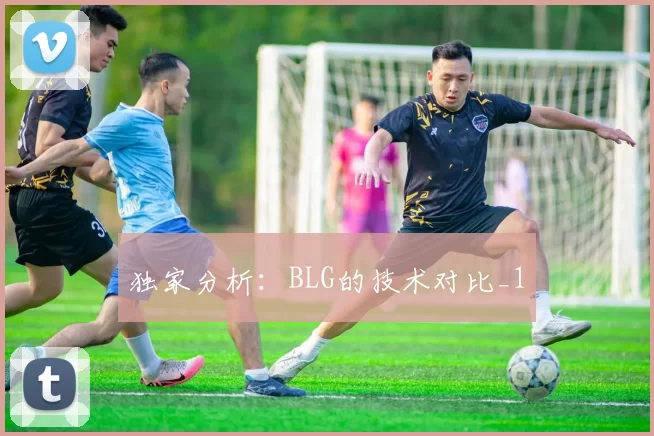 独家分析：BLG的技术对比_1